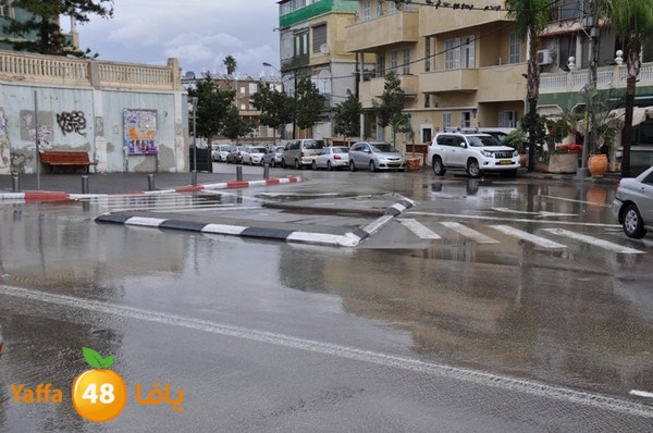 yaffa rain 1211 (46).JPG